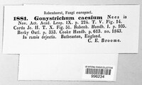 Chloridium caesium image